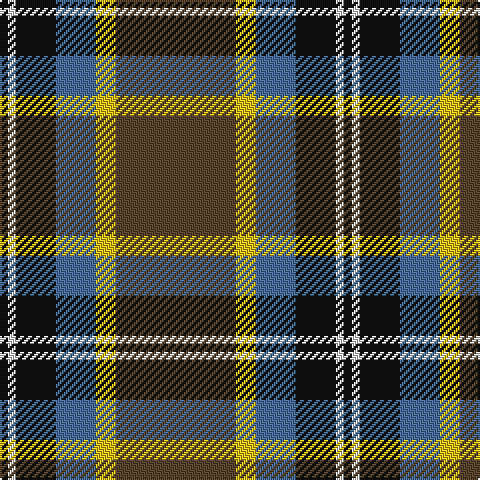 K/4 LN4 K20 B20 Y10 T/60 tartan Tartan detail