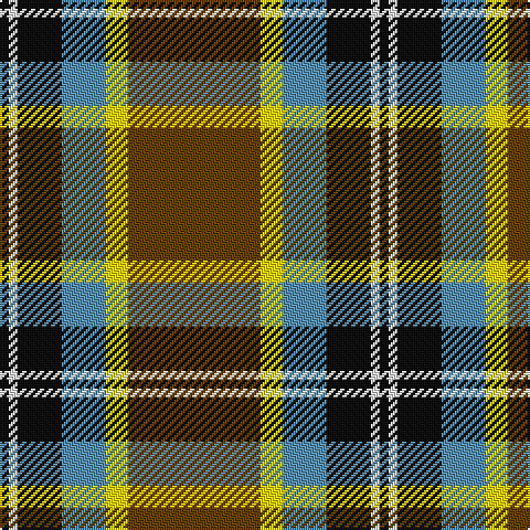 K/4 W4 K20 B20 Y10 T/60 tartan Tartan detail