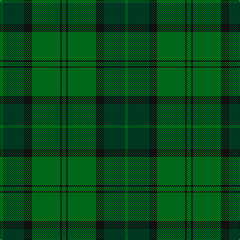 G/6 DG42 K16 G56 K4 G/8 tartan Tartan detail
