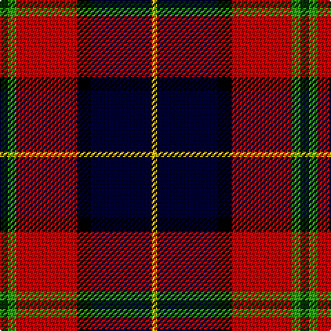DG/6 G6 R44 K10 DB44 Y/4 tartan Tartan detail