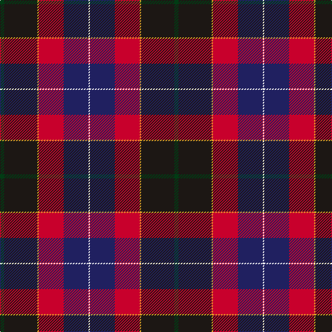 DG/6 K48 Y2 R36 DB36 W/2 tartan Tartan detail