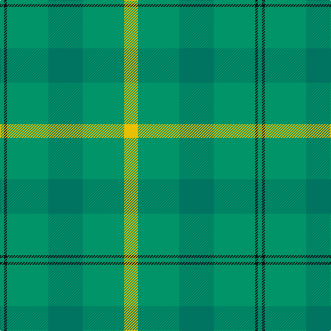 B/6 K4 B60 G50 B60 Y/20 tartan Tartan detail