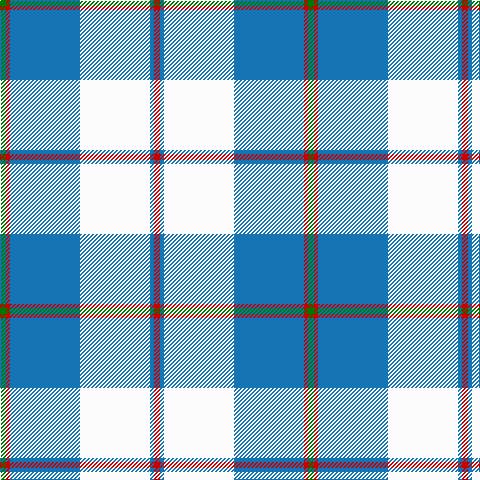 G/6 R4 B70 W70 B4 R/6 tartan Tartan detail