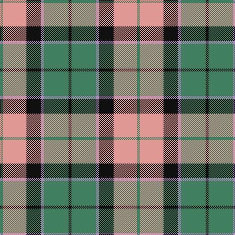 G/6 LR48 K30 N6 G50 K/6 tartan Tartan detail