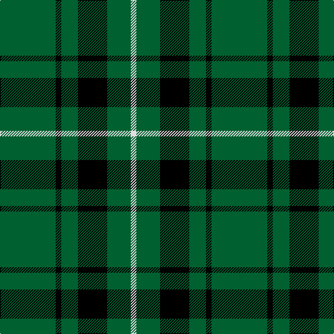 G/80 K8 G24 K42 G34 LN/8 tartan Tartan detail
