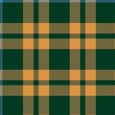 B/10 DG86 O44 DG21 O44 DG/86 tartan Tartan detail