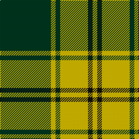 DG/88 Y8 DG8 Y48 K8 Y/8 tartan Tartan detail