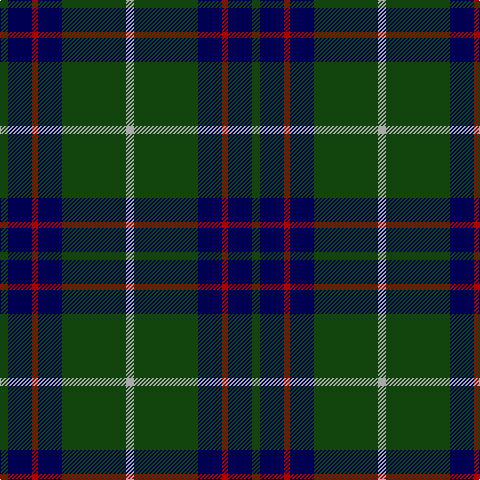DG/8 DB24 DR6 DB24 DG64 N/8 tartan Tartan detail