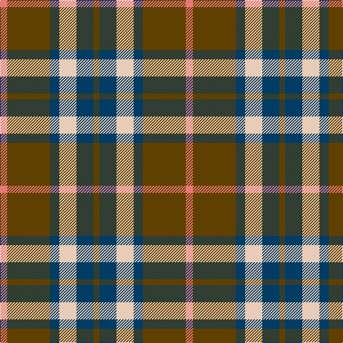 LRa/10 T60 DB13 LR24 DB24 T/8 tartan Tartan detail