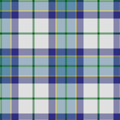 G/8 B34 Y4 DB28 LN56 G/8 tartan Tartan detail