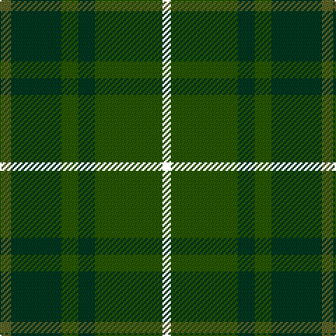 Ga/8 DG36 G12 DG12 G48 YY/6 tartan Tartan detail