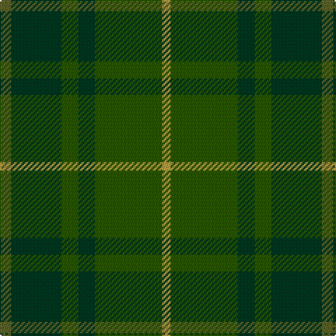 G/8 DG36 Ga12 DG12 Ga48 O/6 tartan Tartan detail