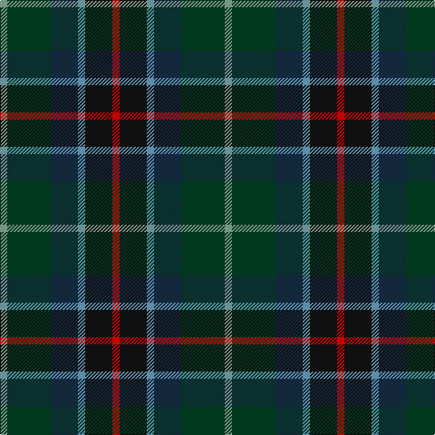 LG/8 DG48 DN30 B8 K30 R/8 tartan Tartan detail