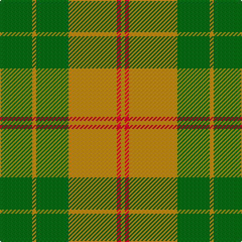 G/32 DY4 G32 DY48 R4 DY/4 tartan Tartan detail