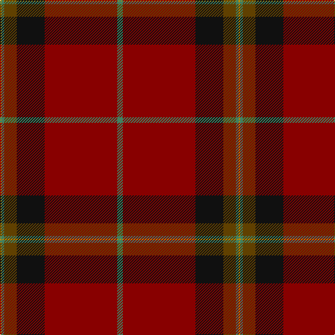 DY/2 G4 T18 K40 DR104 G/8 tartan Tartan detail