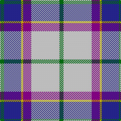 G/8 DB34 Y4 P16 LN56 G/8 tartan Tartan detail