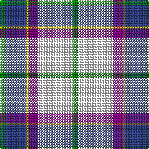 G/8 B34 Y4 P16 LN56 G/8 tartan Tartan detail