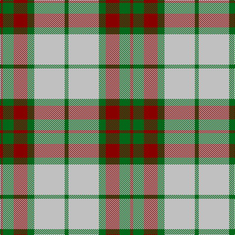 DR/6 G22 DR28 G14 N62 G/8 tartan Tartan detail