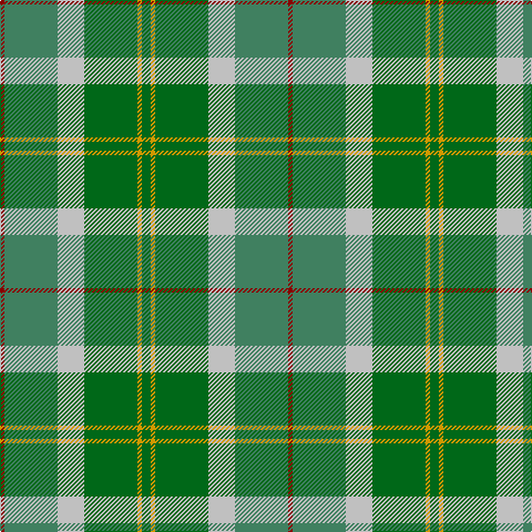 DR/4 G48 N24 Ga48 DY4 Ga/8 tartan Tartan detail