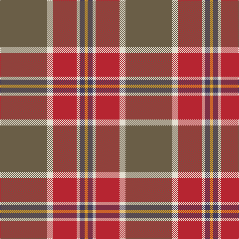 Na/94 W12 R48 W6 N10 Y/6 tartan Tartan detail