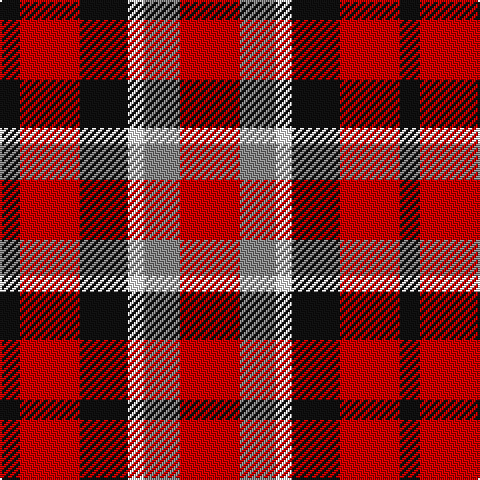 K/10 R30 K24 W8 N18 R/30 tartan Tartan detail