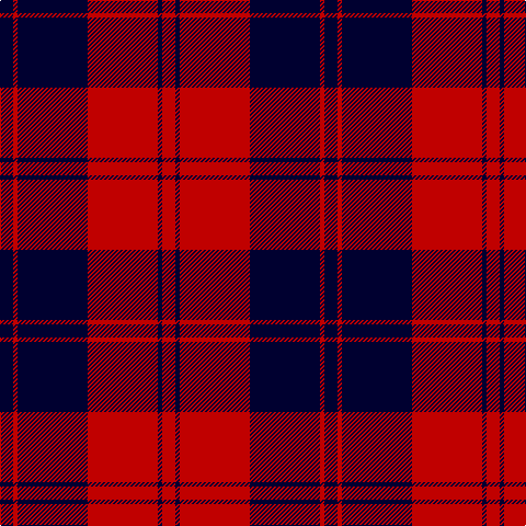 DB/12 R4 DB64 R64 DB4 R/12 tartan Tartan detail