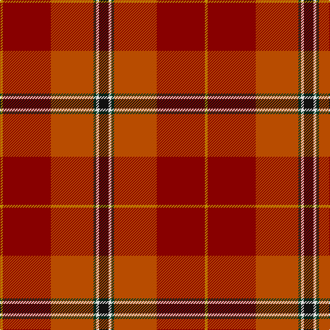 DY/4 DR70 DO62 DG4 LN4 K/14 tartan Tartan detail
