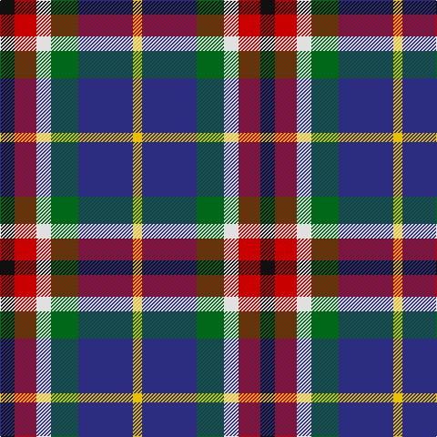 K/16 R24 LN16 G30 DB60 Y/10 tartan Tartan detail