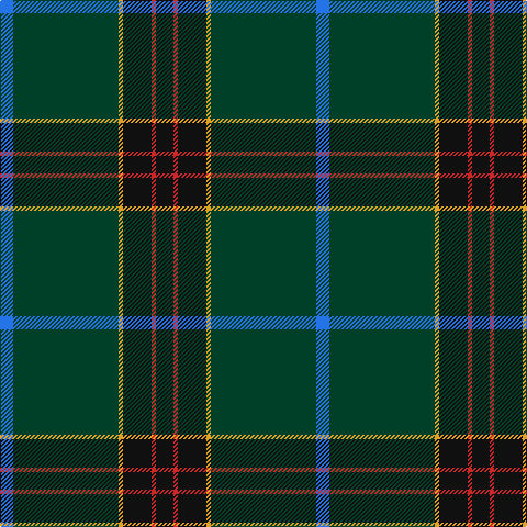 B/12 DG96 Y4 K26 R4 K/16 tartan Tartan detail