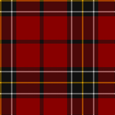 DY/6 K40 N6 K16 DR98 K/16 tartan Tartan detail