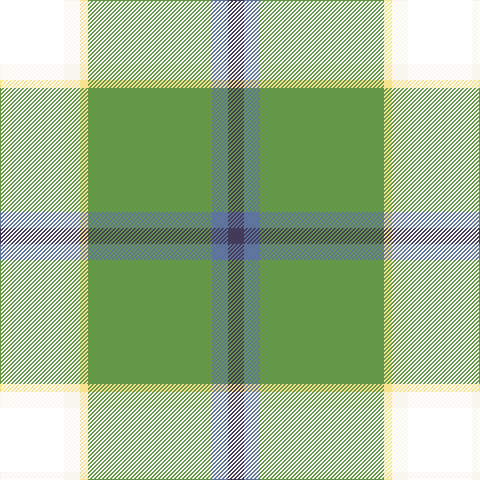 N/16 B16 LG124 LY8 W16 T/64 tartan Tartan detail