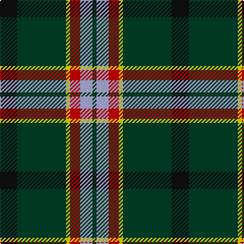 K/17 DG48 Y4 R10 LP12 DG/4 tartan Tartan detail