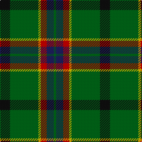 K/17 G48 Y4 R10 DB12 G/4 tartan Tartan detail