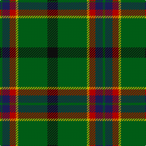 G/4 DB12 R10 Y4 G48 K/17 tartan Tartan detail