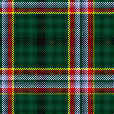 DG/4 LP12 R10 Y4 DG48 K/17 tartan Tartan detail