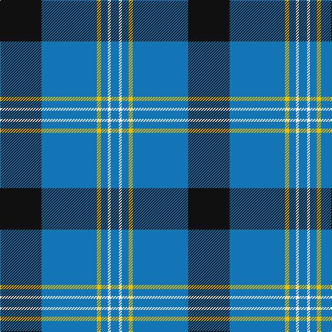 B/12 W4 B10 Y6 B80 K/60 tartan Tartan detail