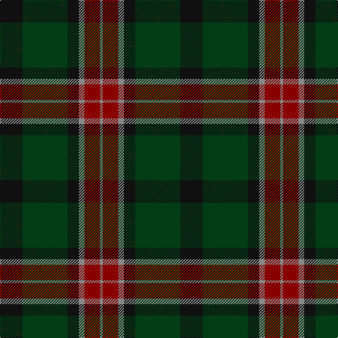 K/32 DG64 K16 N8 DR22 N/4 tartan Tartan detail
