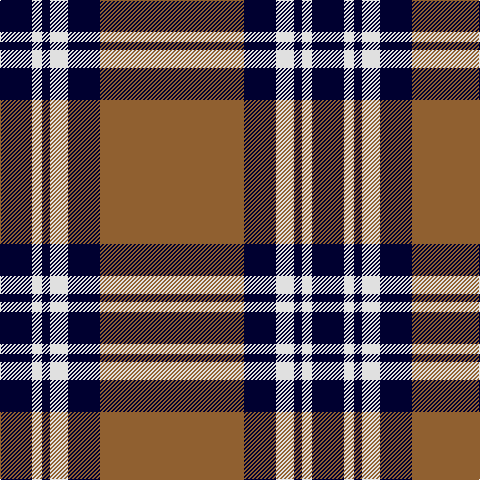 DB/32 LN10 DB8 LN18 DB32 LT/144 tartan Tartan detail