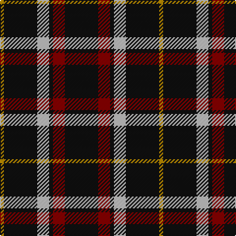 DY/4 K34 N12 K4 DR12 K/34 tartan Tartan detail