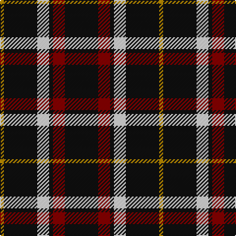 DY/4 K34 LN12 K4 DR12 K/34 tartan Tartan detail