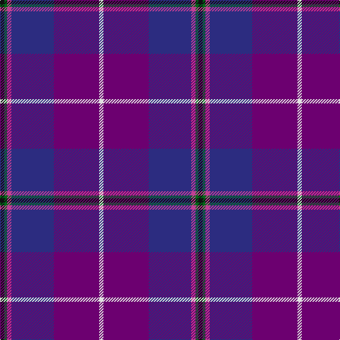K/6 G4 P6 DB60 Pa64 LN/6 tartan Tartan detail