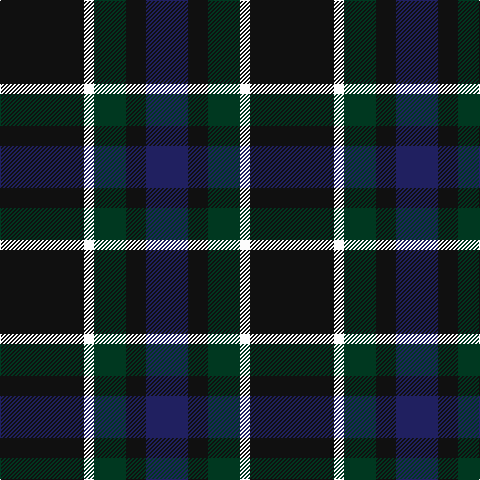 K/84 W10 DG32 K10 K10 DB/42 tartan Tartan detail