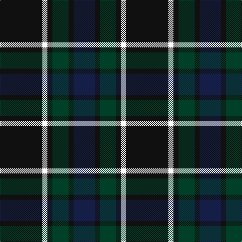 K/84 W10 K10 DG32 K10 DB/42 tartan Tartan detail