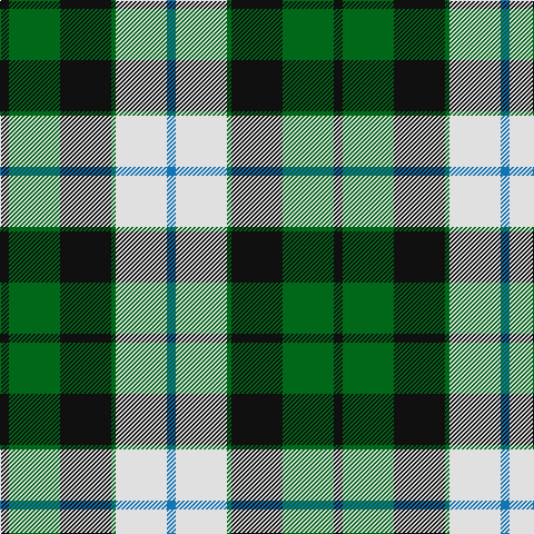 K/8 G46 K46 G4 LN46 B/8 tartan Tartan detail