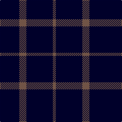 DB/8 DB24 DB6 LT14 DB52 LT/6 tartan Tartan detail