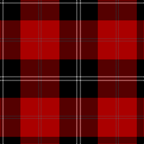 DR/6 N2 DR60 K56 Na4 K/8 tartan Tartan detail