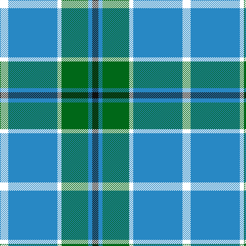 K/12 B8 G52 W8 B96 R/16 tartan Tartan detail