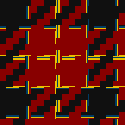 K/100 DB6 Y6 DR100 Y6 DB/6 tartan Tartan detail
