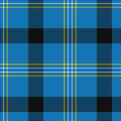 B/12 W4 B10 Y6 B80 K/60 tartan Tartan detail