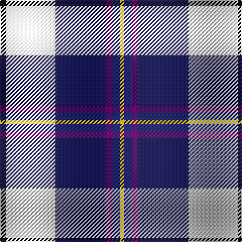 K/6 W49 DBa50 P6 DB8 Y/4 tartan Tartan detail